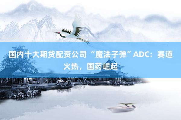 国内十大期货配资公司 “魔法子弹”ADC：赛道火热，国药崛起