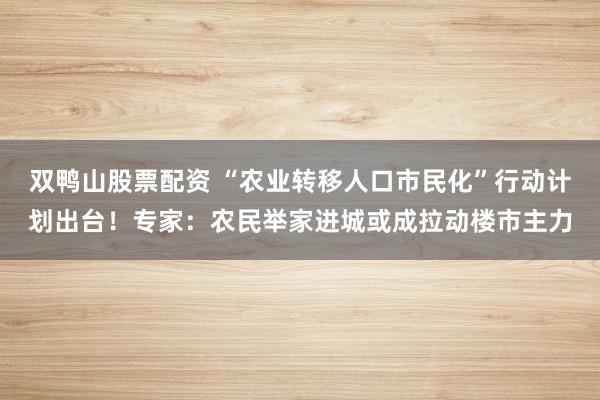 双鸭山股票配资 “农业转移人口市民化”行动计划出台！专家：农民举家进城或成拉动楼市主力