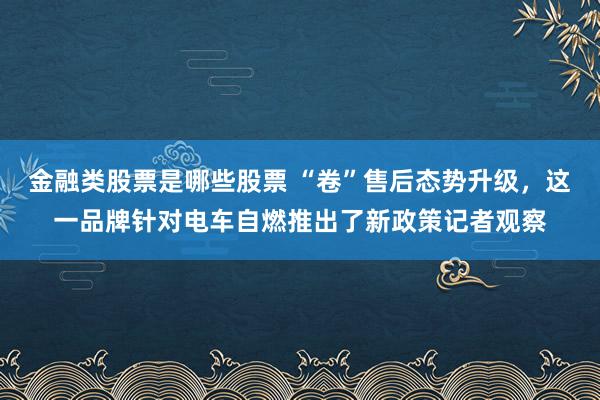 金融类股票是哪些股票 “卷”售后态势升级，这一品牌针对电车自燃推出了新政策记者观察