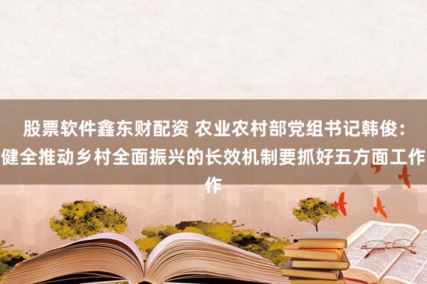 股票软件鑫东财配资 农业农村部党组书记韩俊：健全推动乡村全面振兴的长效机制要抓好五方面工作