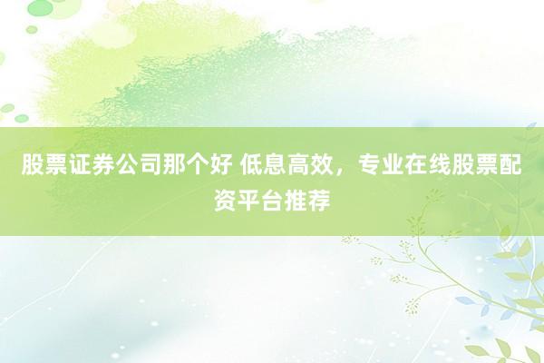 股票证券公司那个好 低息高效，专业在线股票配资平台推荐