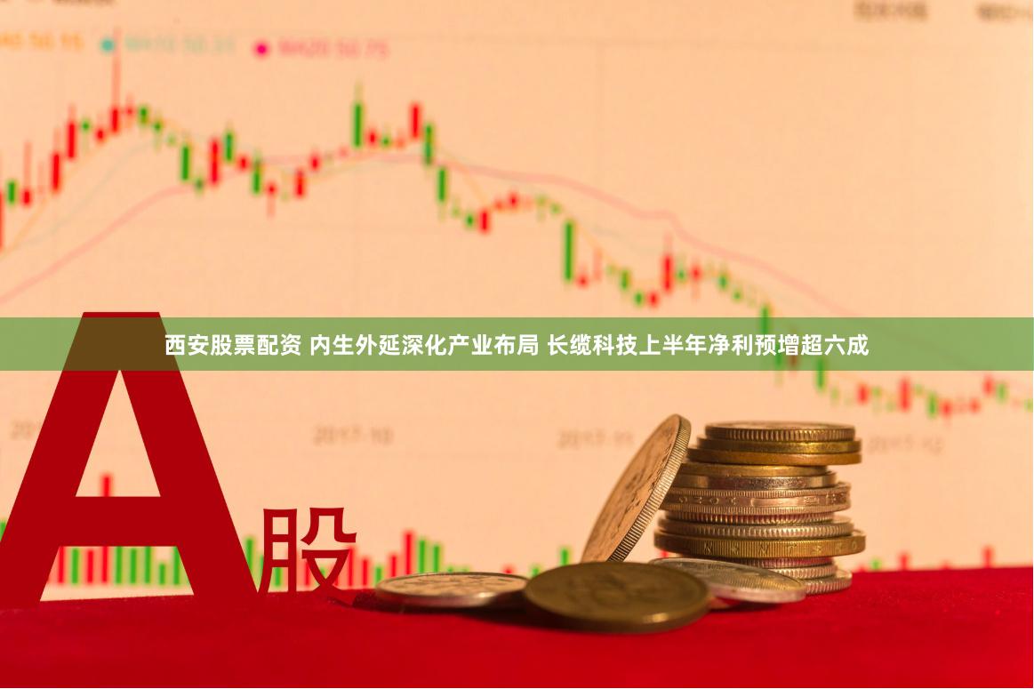 西安股票配资 内生外延深化产业布局 长缆科技上半年净利预增超六成