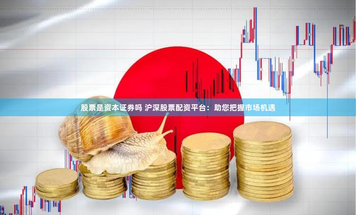 股票是资本证券吗 沪深股票配资平台：助您把握市场机遇